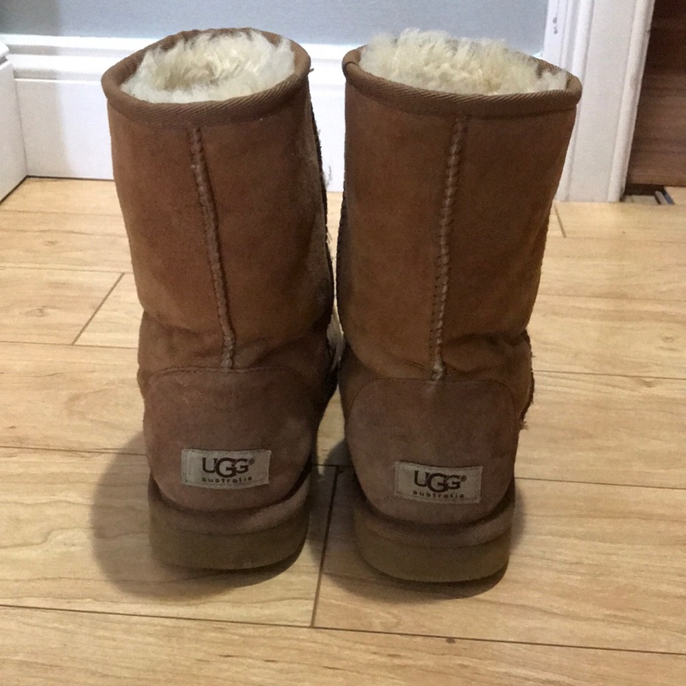 Chestnut Ugg boots